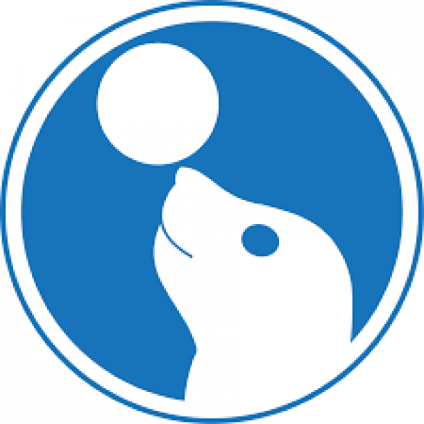 biała głowa uśmiechniętej foki z piłką na nosie, umieszczona w niebieskim okręgu