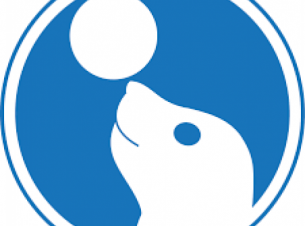 biała głowa uśmiechniętej foki z piłką na nosie, umieszczona w niebieskim okręgu